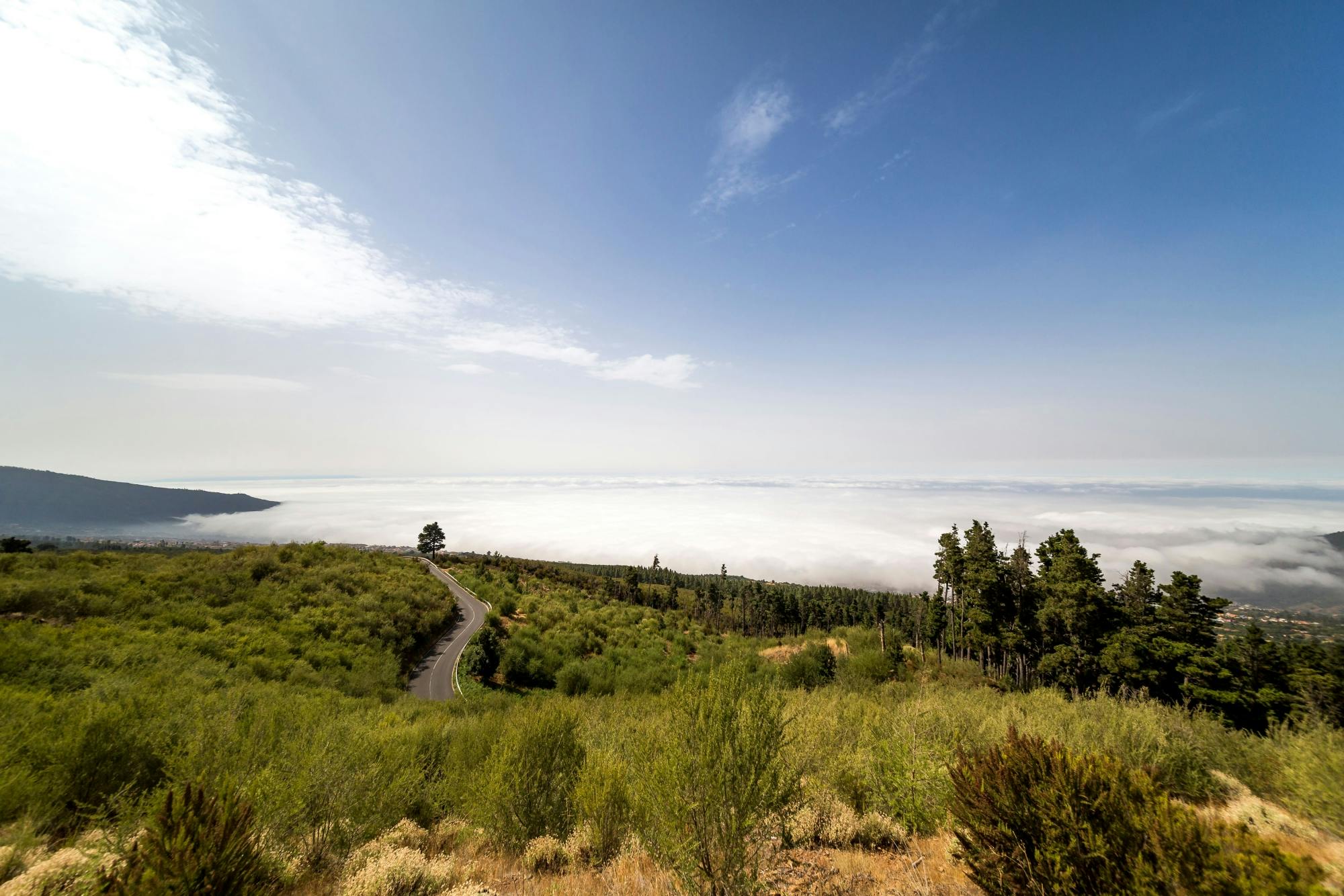 Teide National Park Tour from Puerto de La Cruz and Punta del Rey