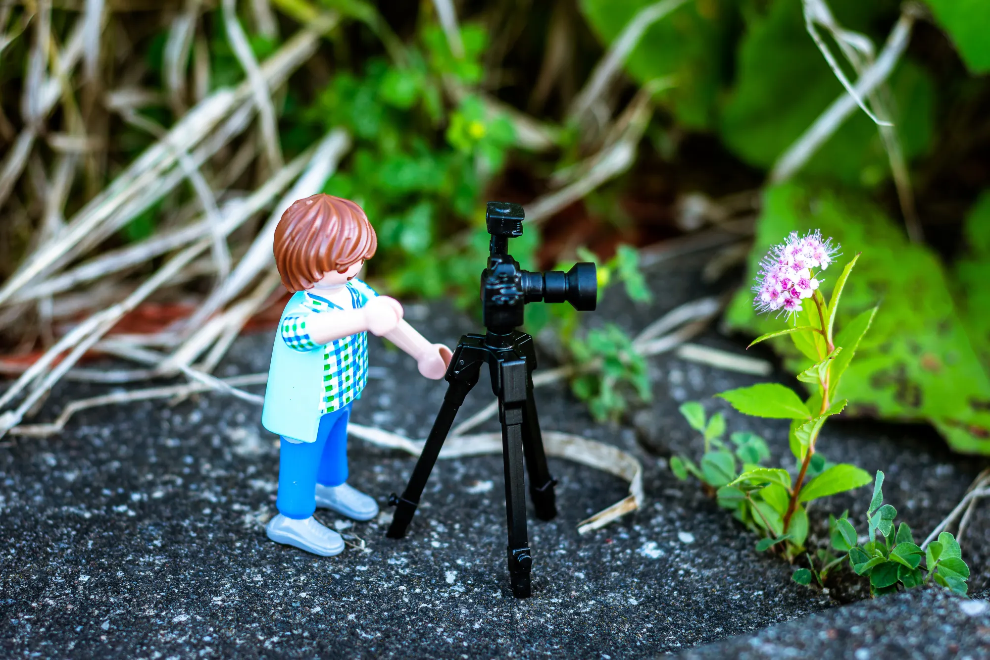 PLAYMOBIL Fun Park Zirndorf