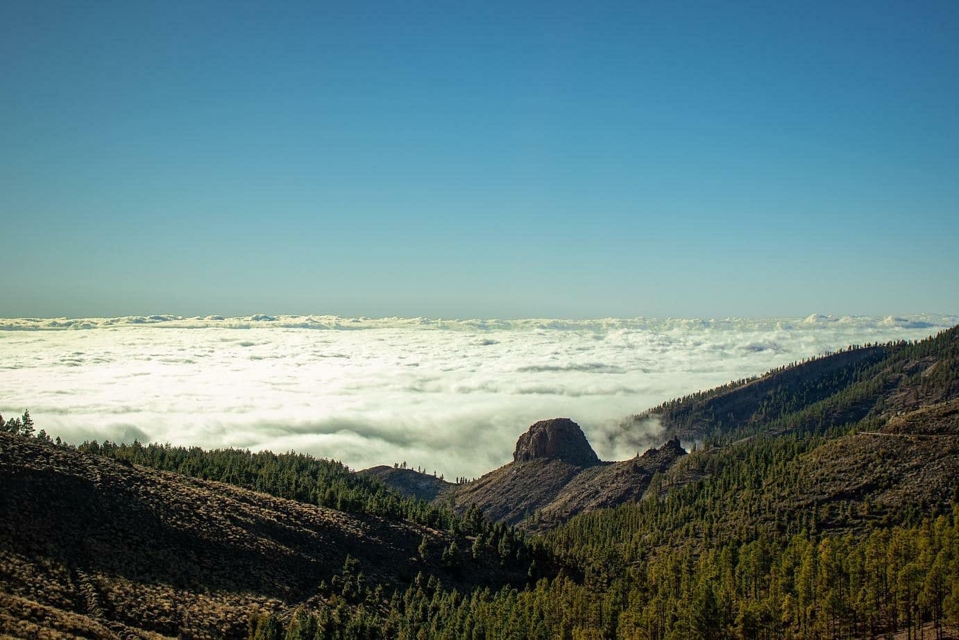 Teide National Park Tour from Puerto de La Cruz and Punta del Rey