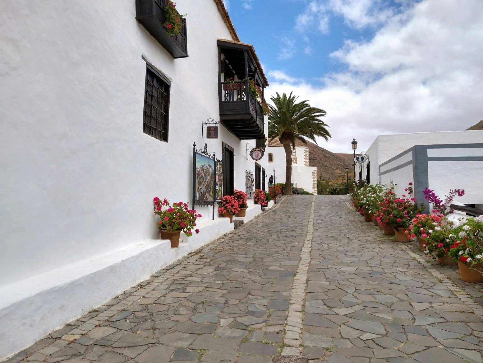 Betancuria Private Tour