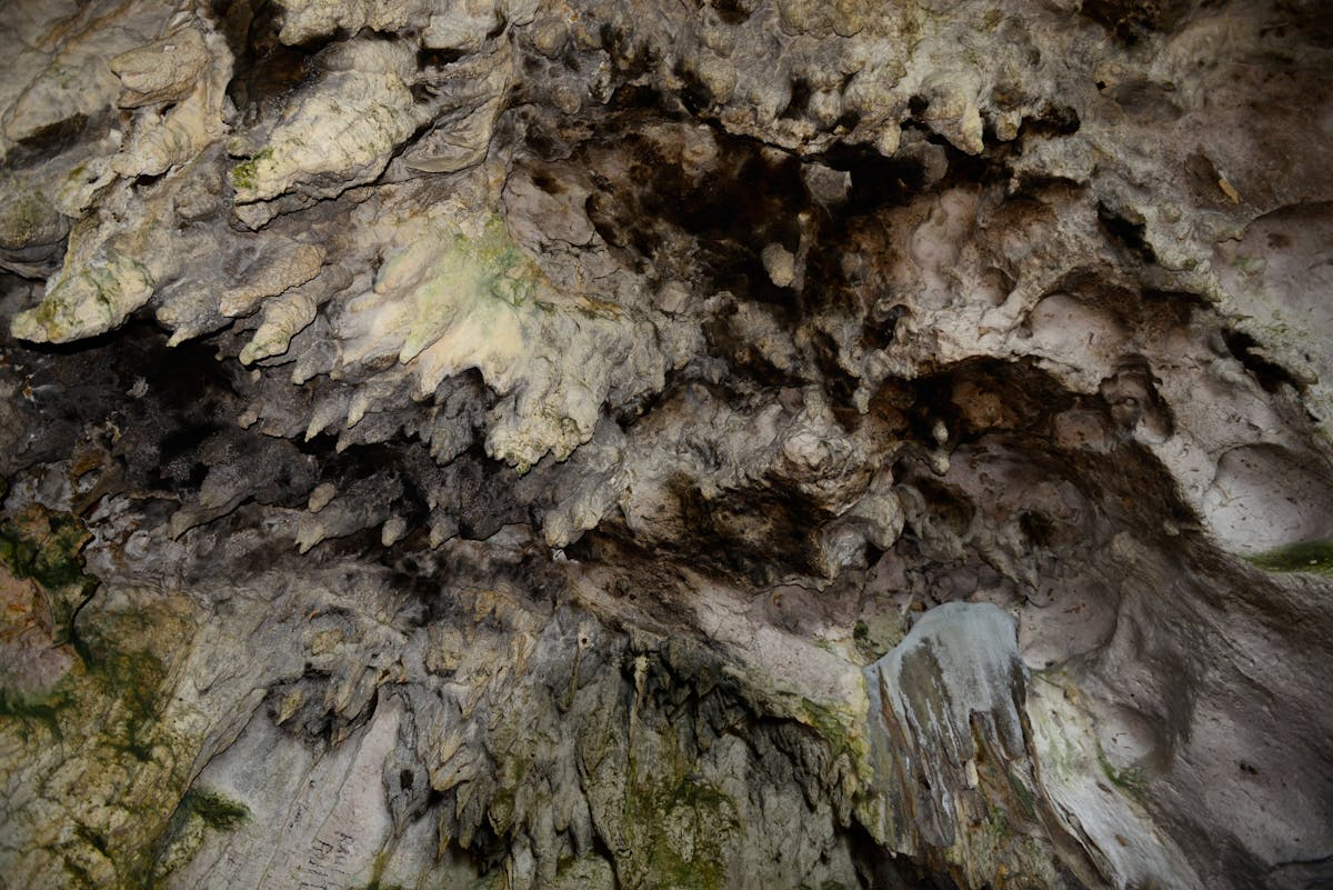 Los Haitises National Park Tour
