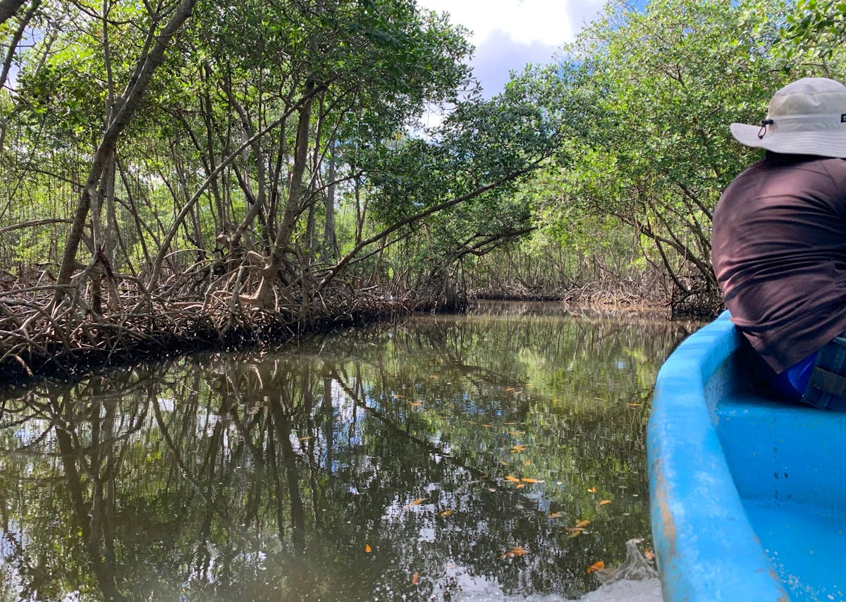Los Haitises National Park Tour