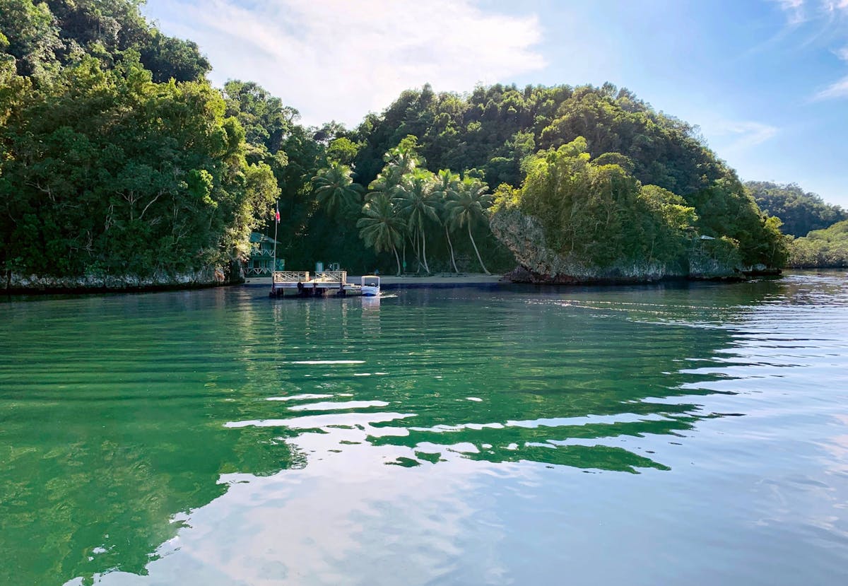 Los Haitises National Park Tour