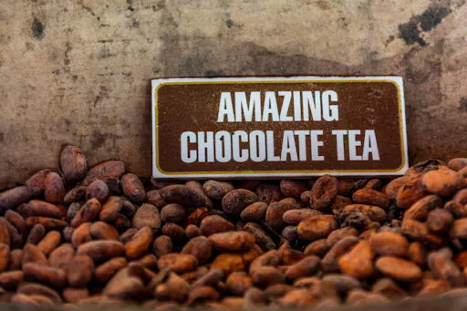 Dominican Countryside Terracross Adventure