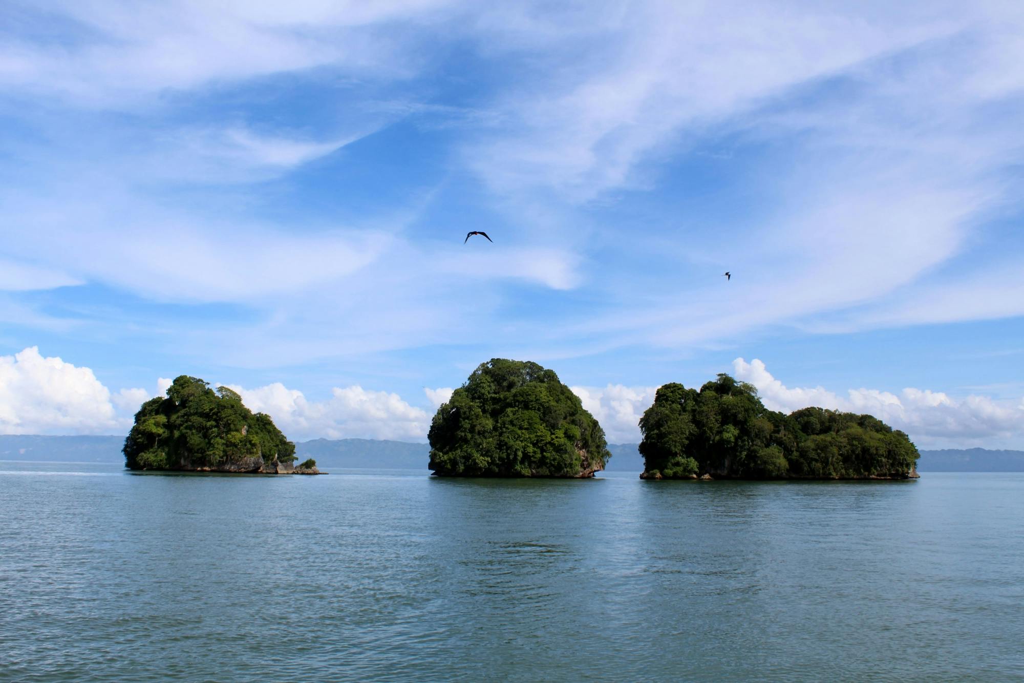 Los Haitises National Park Tour