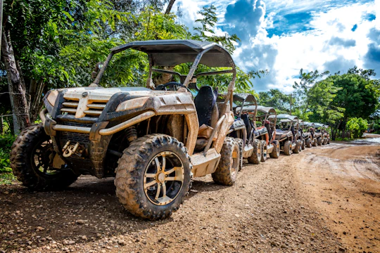 Half-day buggie prime regular tour of the countryside from Punta Cana