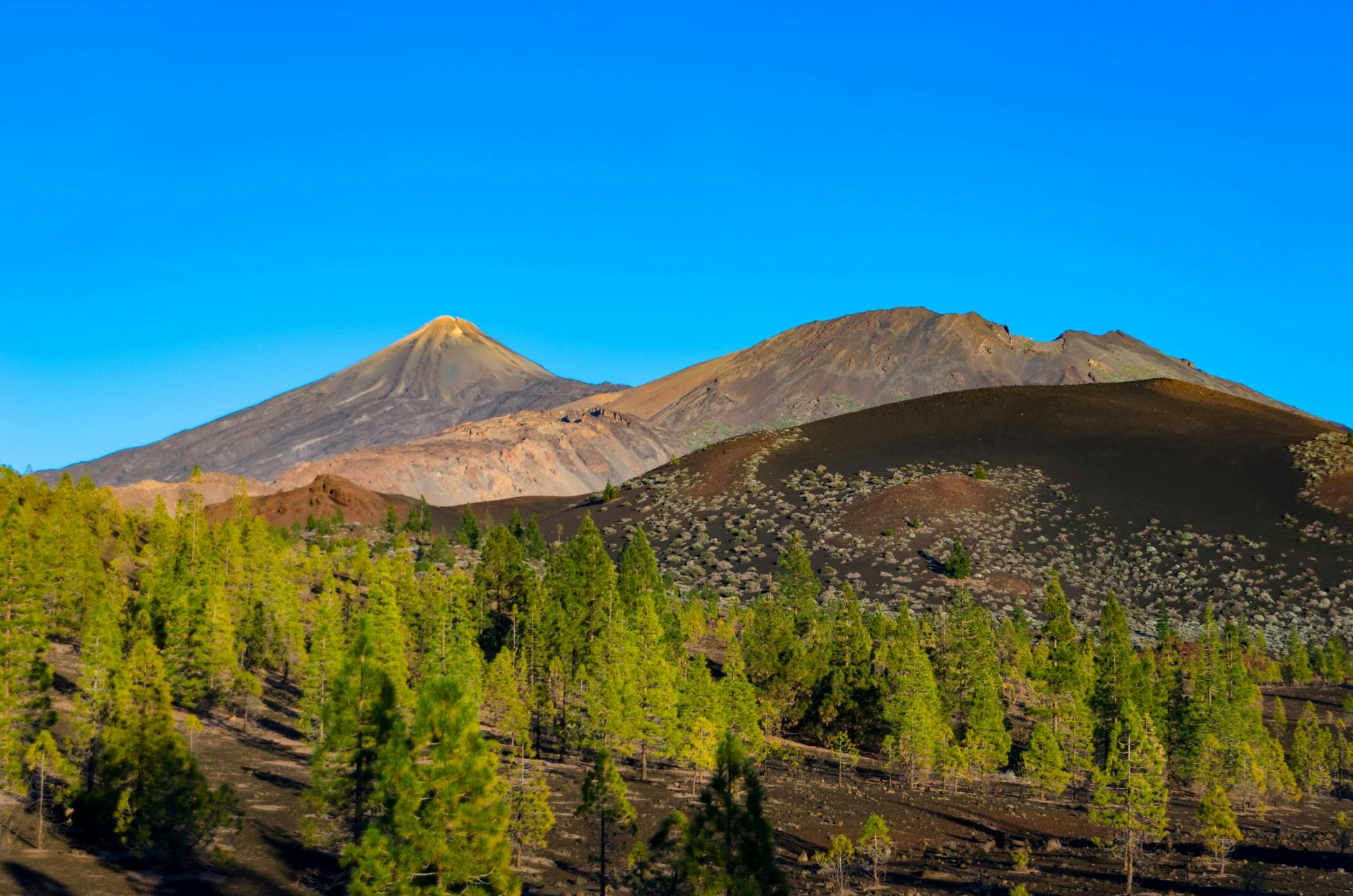 Le parc national du Teide avec un guide local
