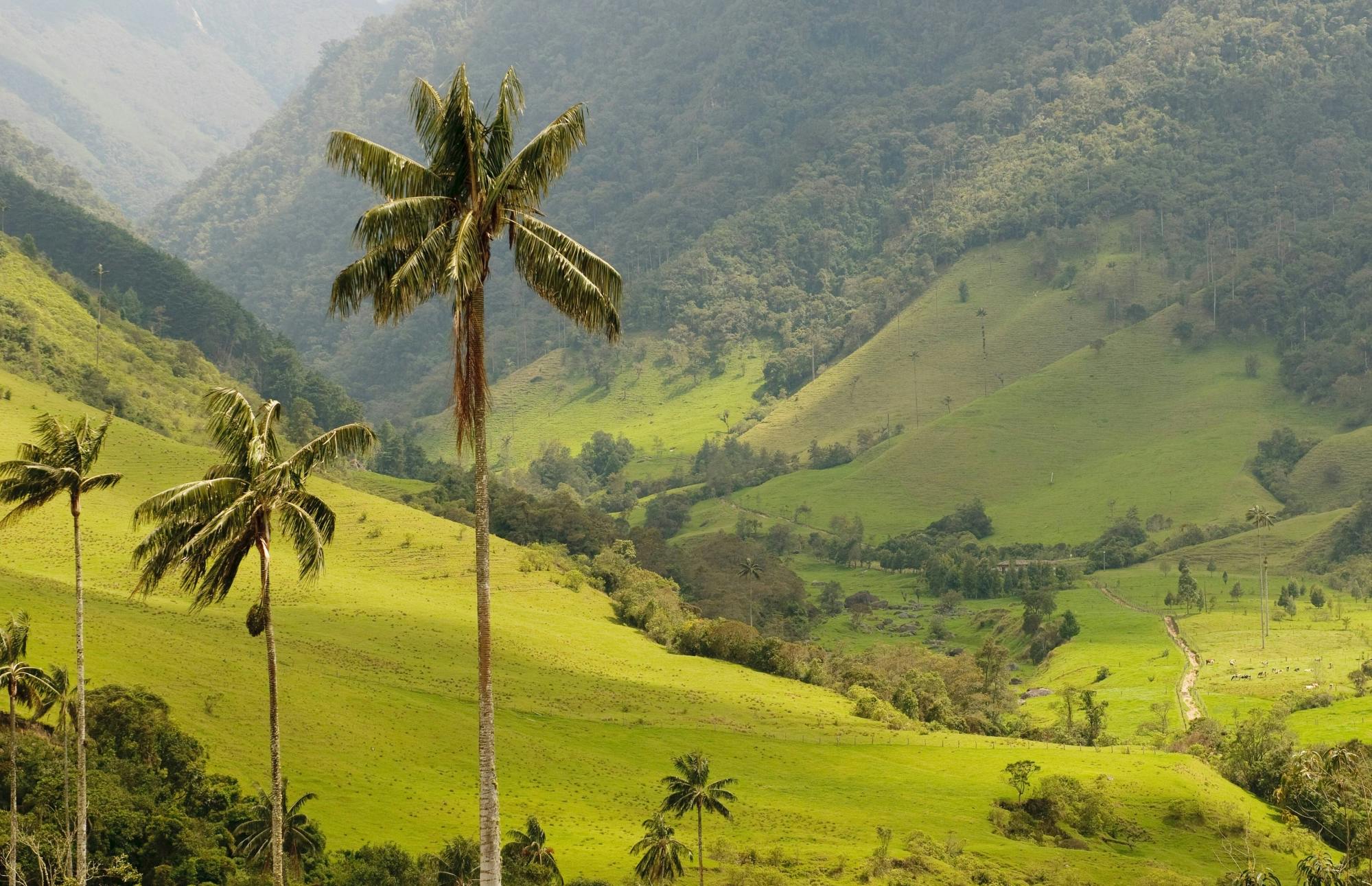 Visite à pied en petit groupe des montagnes d'Anamuya