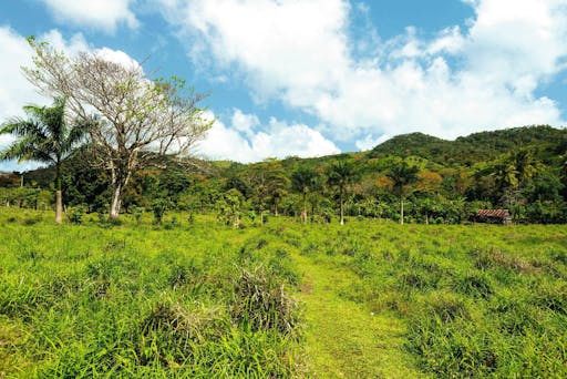 Anamuya Mountains Small Group Walking Tour