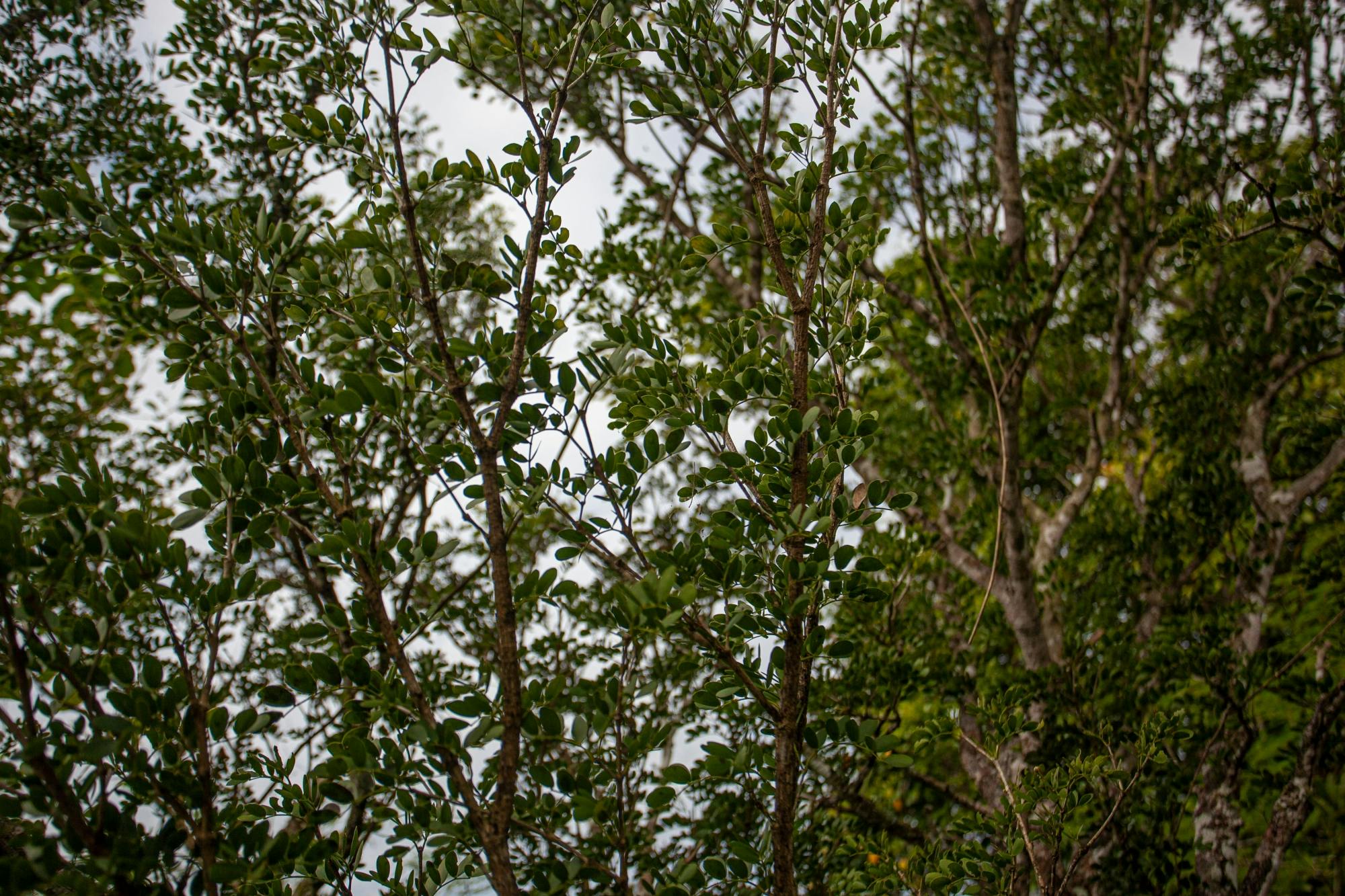 Anamuya Mountains Small Group Walking Tour