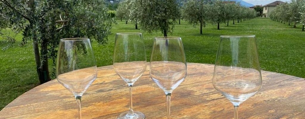 Degustacja oliwy z oliwek i wina nad jeziorem Garda