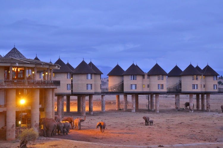 Tsavo East, Taita Hills and Salt Lick 3-day safari from Mombasa