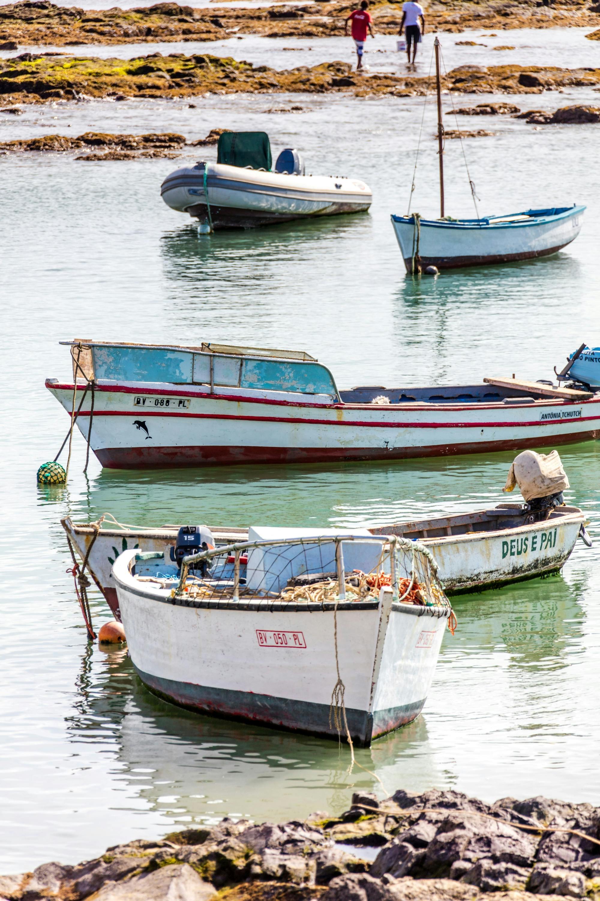 Boa Vista Full Day 4x4 Island Tour with Beachfront Lunch