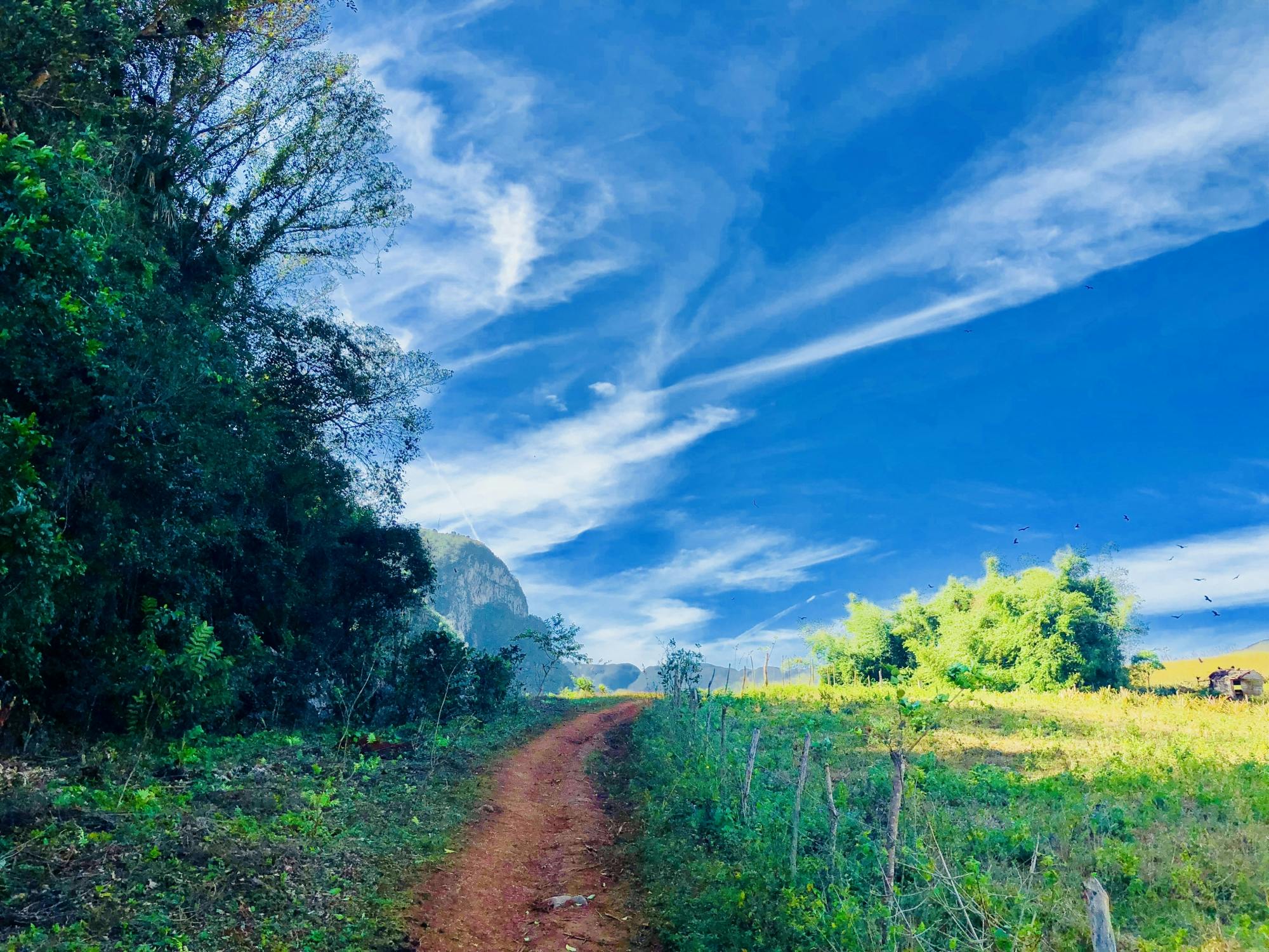 Hiking in the Viñales Valley