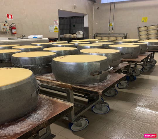 Esperienza con parmigiano e aceto balsamico