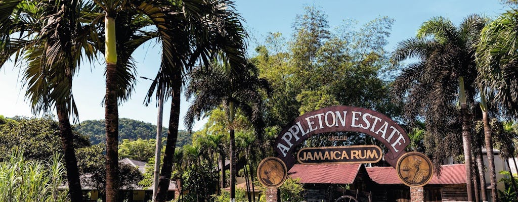 Appleton Rum, YS Falls & Pelican Bar Private Tour