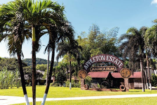 Appleton Rum, YS Falls & Pelican Bar Privé-Tour