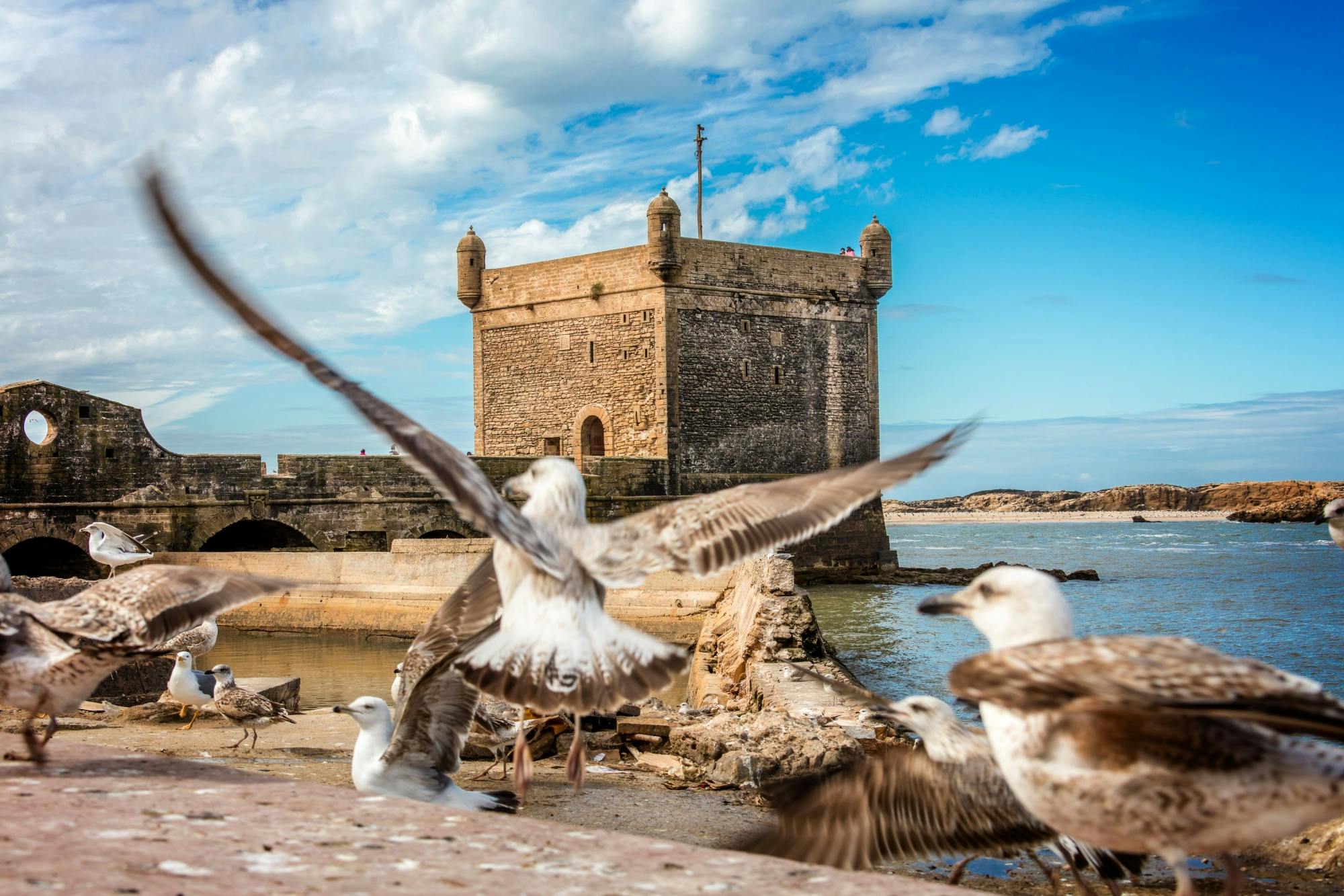 Visite d'Essaouira et de la médina avec un guide local et déjeuner