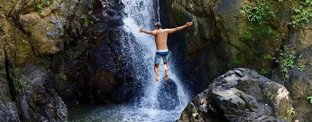 El Yunque Rainforest nature hikes with a local full-day tour
