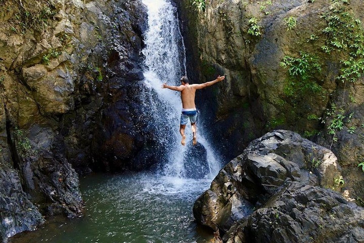El Yunque Rainforest natuurwandelingen met een lokale tour vanaf een hele dag