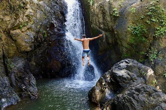 El Yunque Rainforest natuurwandelingen met een lokale dagtour