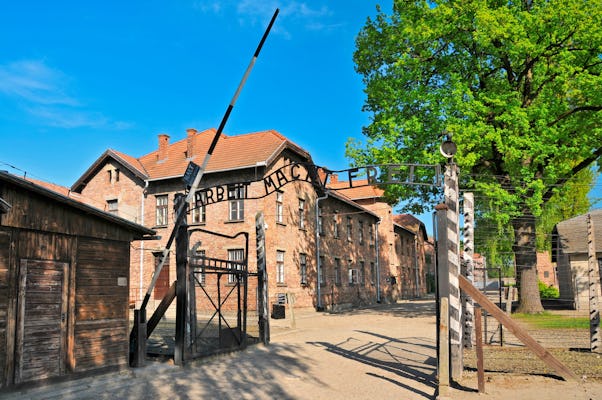 Visite guidée d'Auschwitz-Birkenau avec déjeuner et prise en charge à Cracovie