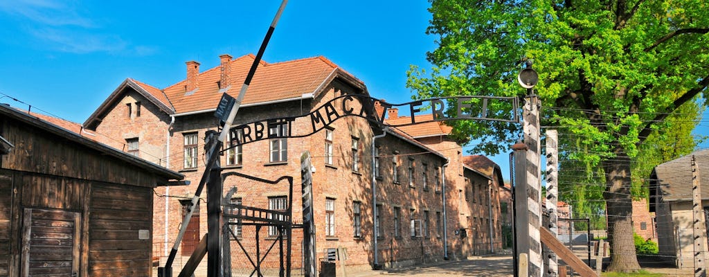 Visite guidée d'Auschwitz-Birkenau avec déjeuner et prise en charge à Cracovie