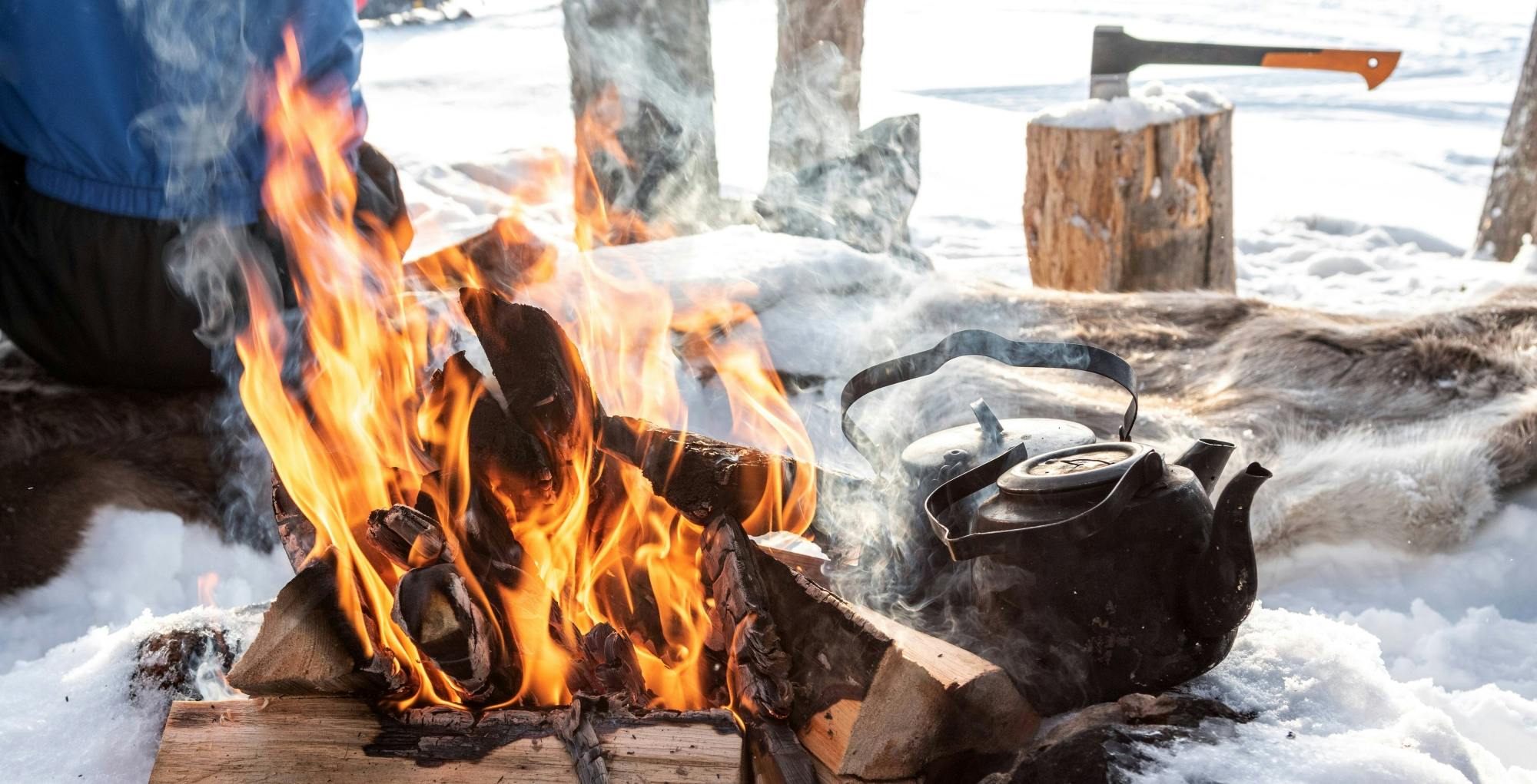Kuusamo Reindeer Ride with Barbecue