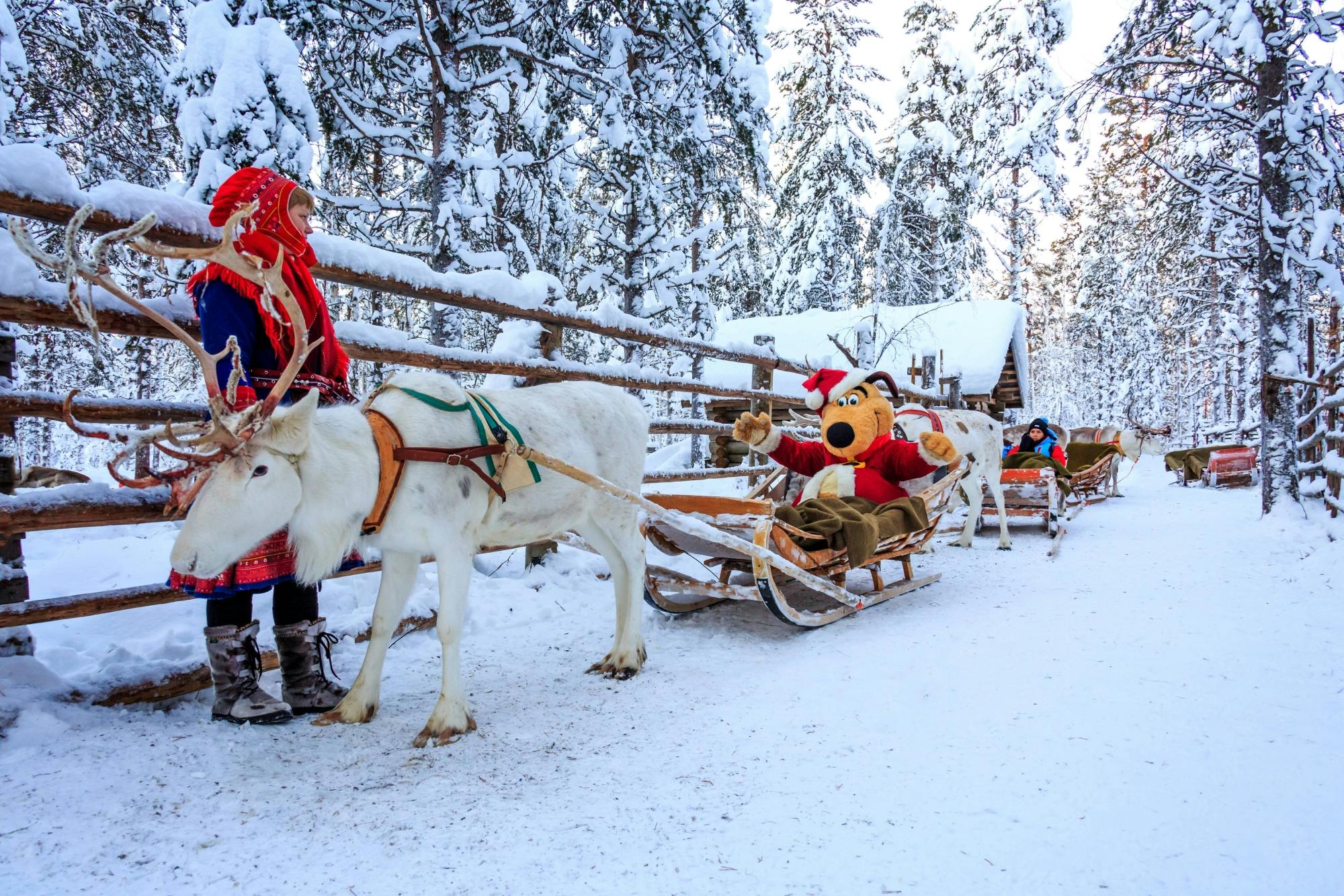 Kuusamo Reindeer Ride with Barbecue