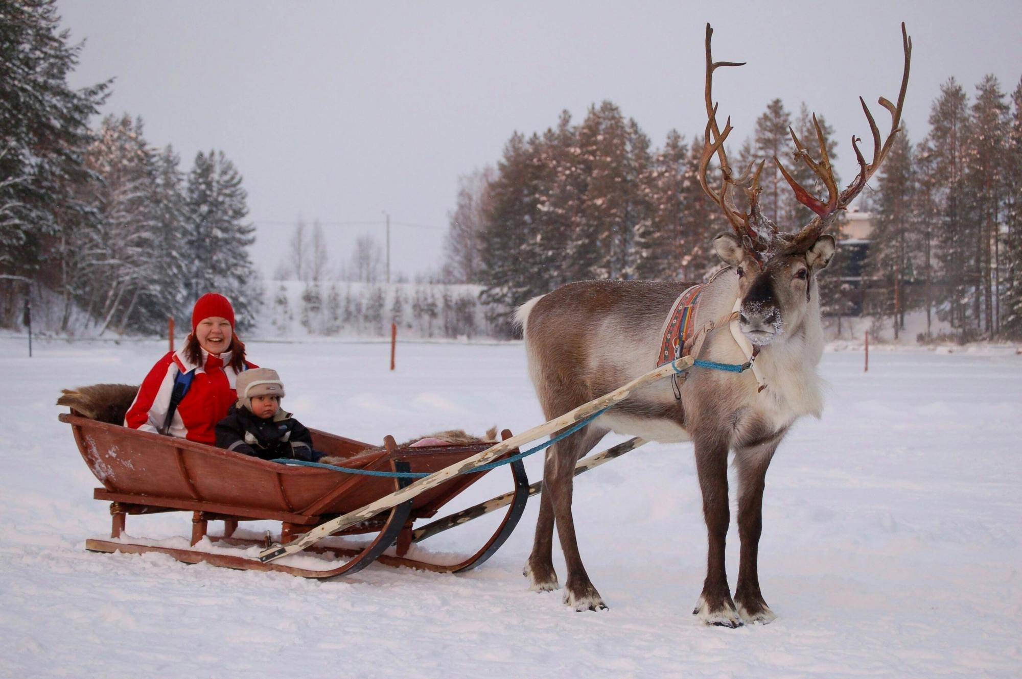 Kuusamo Reindeer Ride with Barbecue