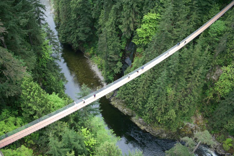 North Shore Mountain tour with Capilano Suspension Bridge