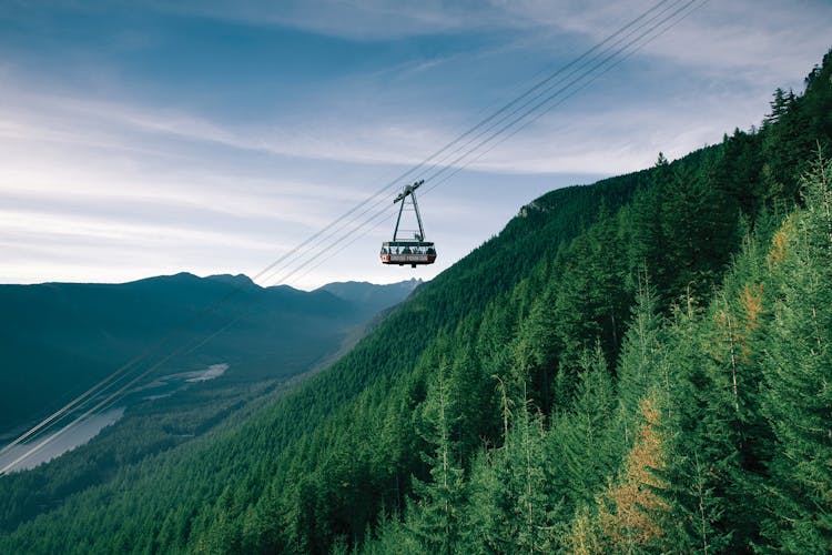 North Shore Mountain tour with Capilano Suspension Bridge