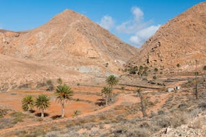 Fuerteventura: Sightseeingtours