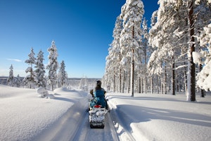 Snowmobile Safari in Rovaniemi