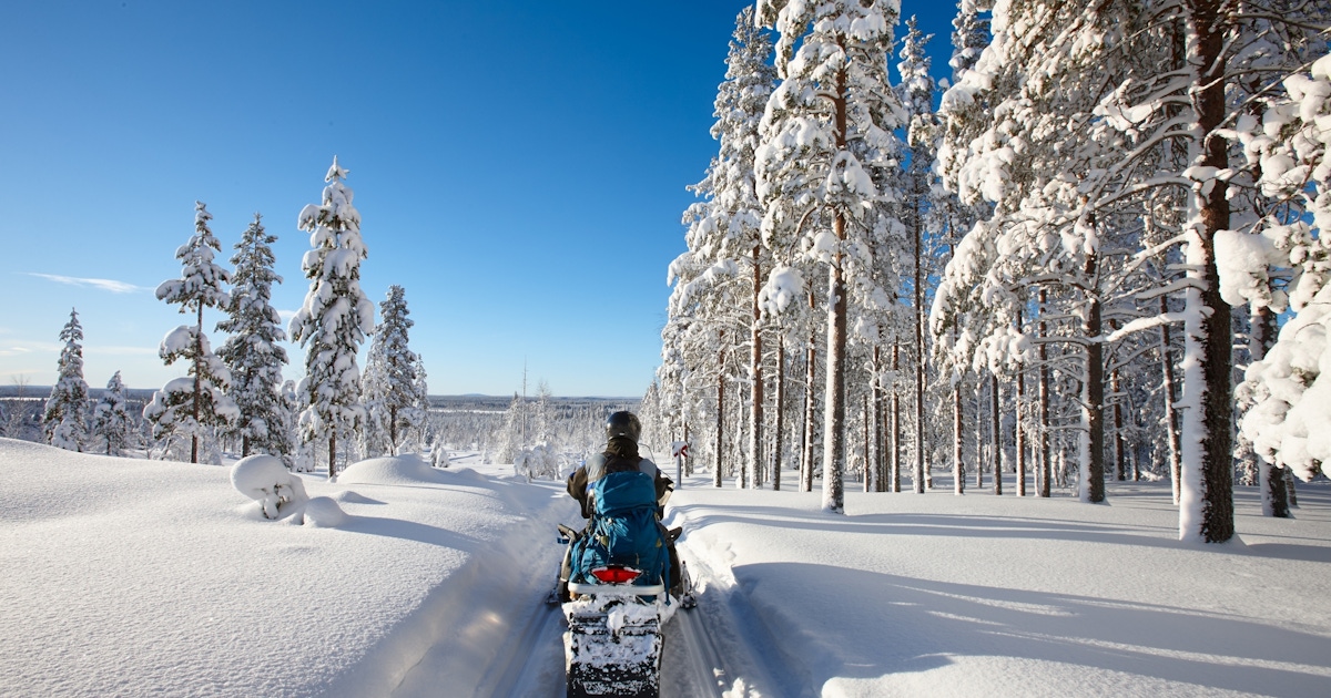Snowmobile Safari in Rovaniemi Tours & Tickets  musement