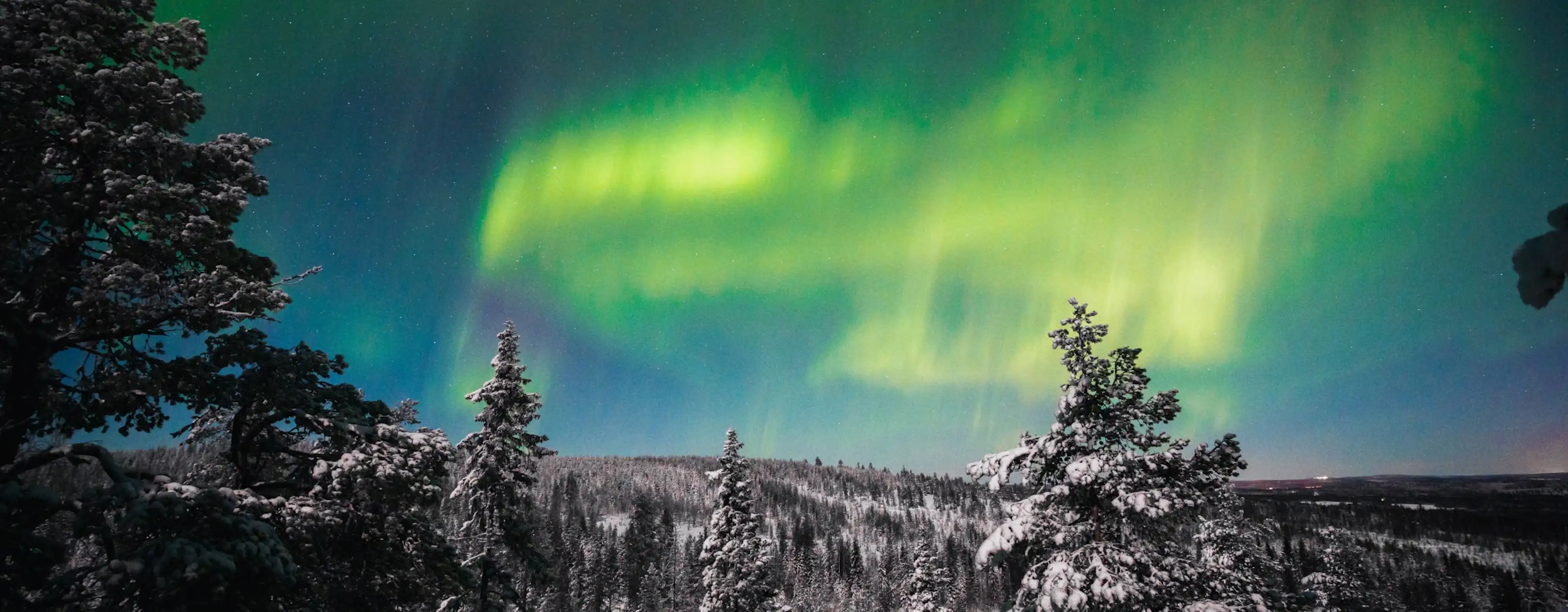 Northern Lights in Rovaniemi tickets en tours
