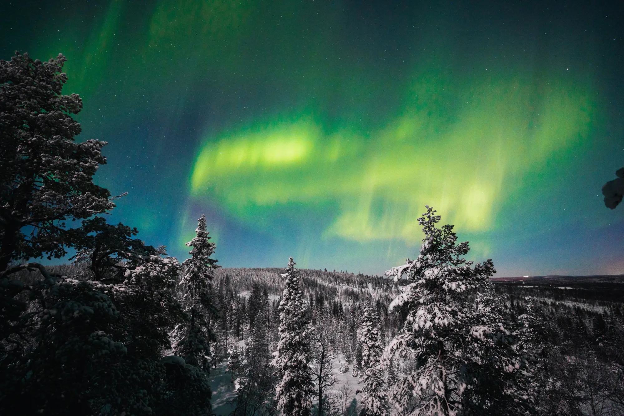 Northern Lights in Rovaniemi