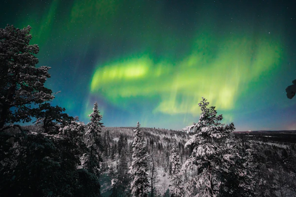 Revontulet Rovaniemellä