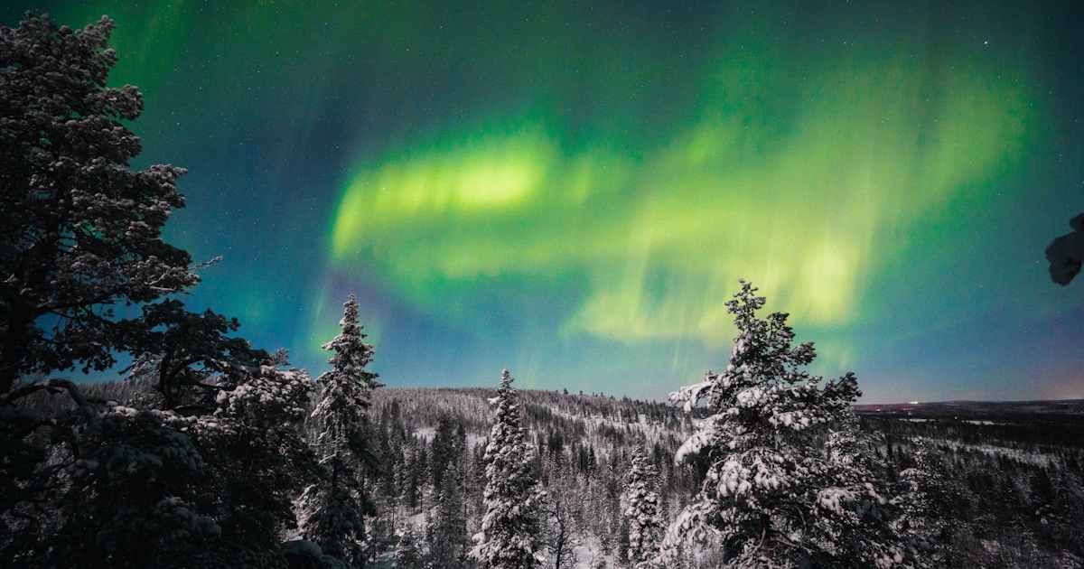 Northern Lights in Rovaniemi Tours & Tickets  musement