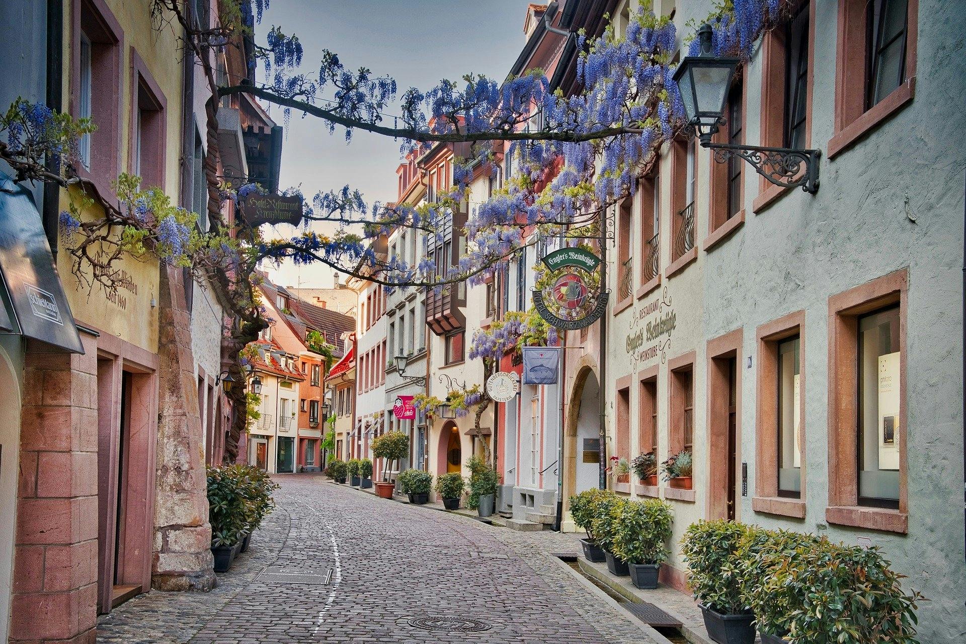 Photogenic Freiburg walking tour with a Local