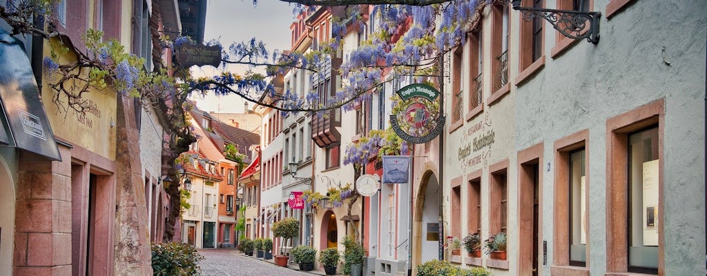 Fotogeniczna piesza wycieczka po Freiburgu z miejscowym