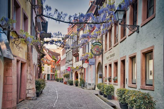 Photogenic Freiburg walking tour with a Local