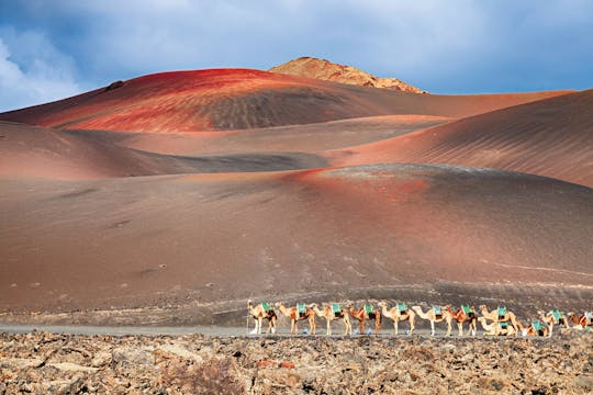 Tour di Lanzarote per famiglie con giro in cammello