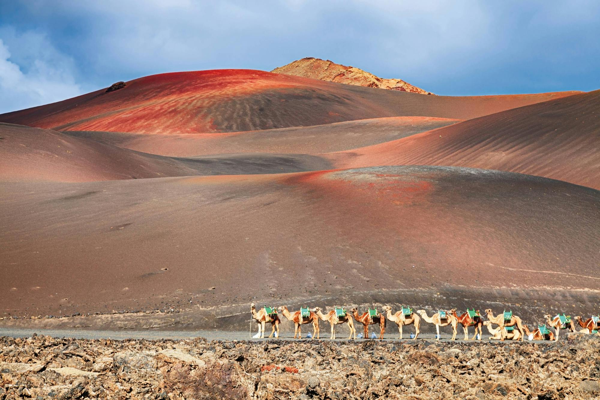 Visite familiale de Lanzarote avec balade à dos de chameau