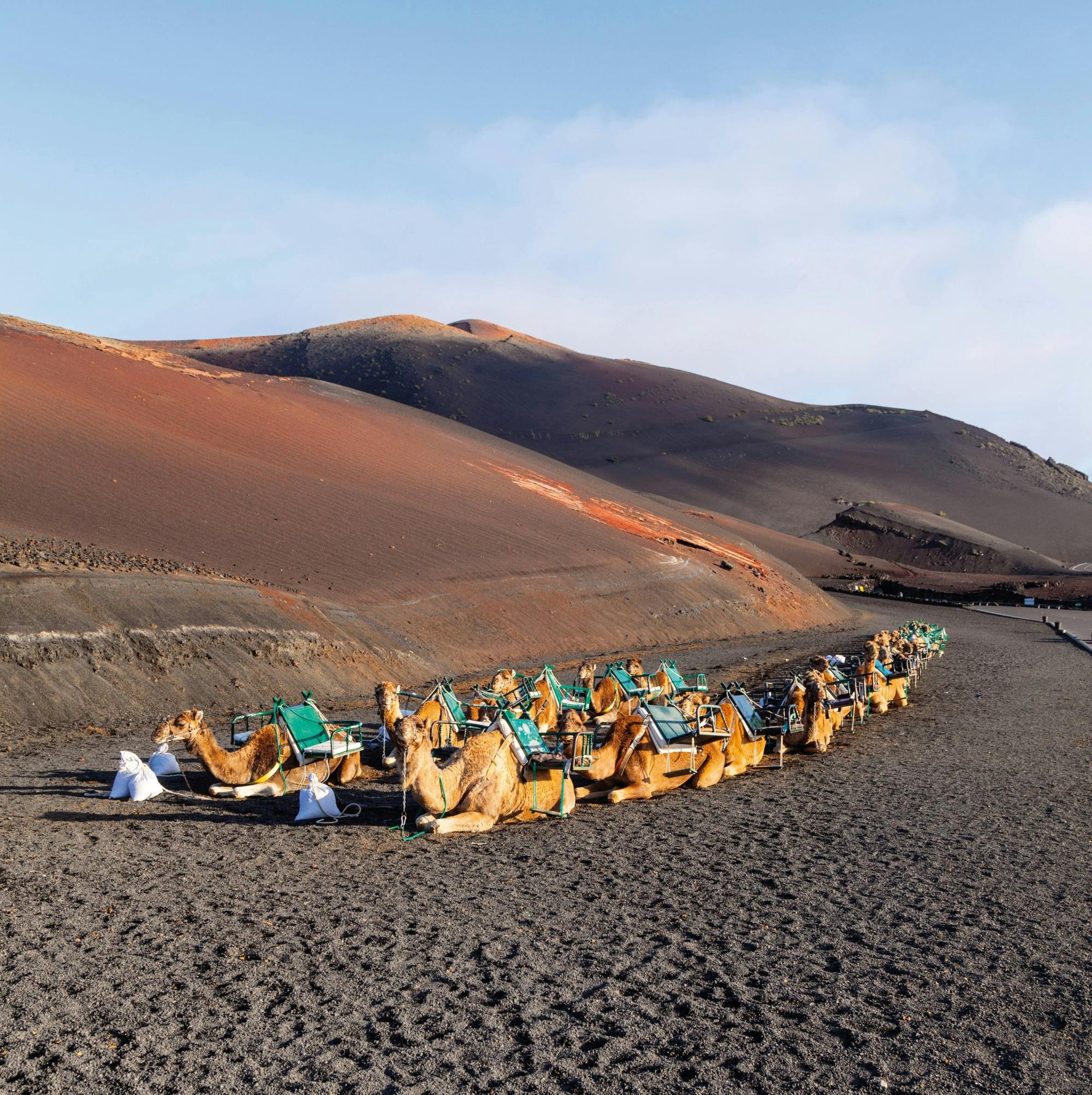 Timanfaya National Park Family Tour with Camel Ride