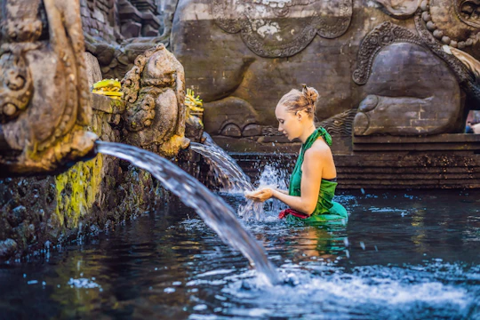 Monkey Forest, waterfall, rice terrace jungle swing private tour