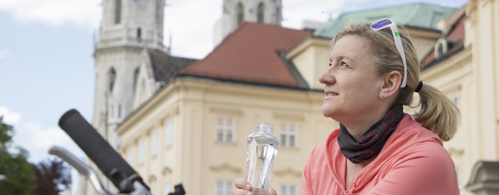 Vienna e-bike tour with wine tasting