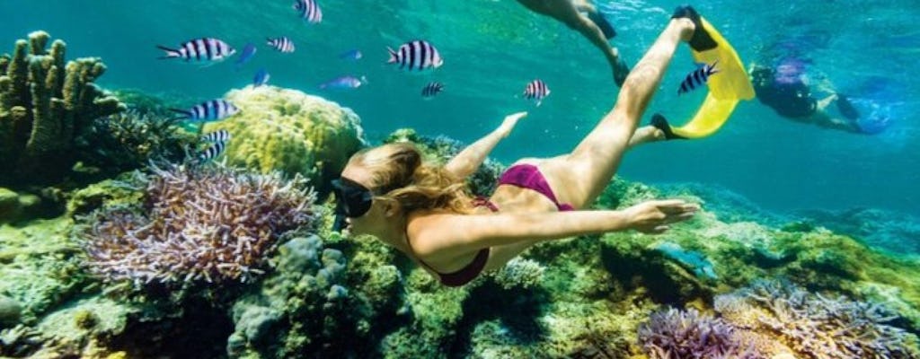 Excursão guiada Bali Blue Lagoon e Tanjung Jepun com snorkeling