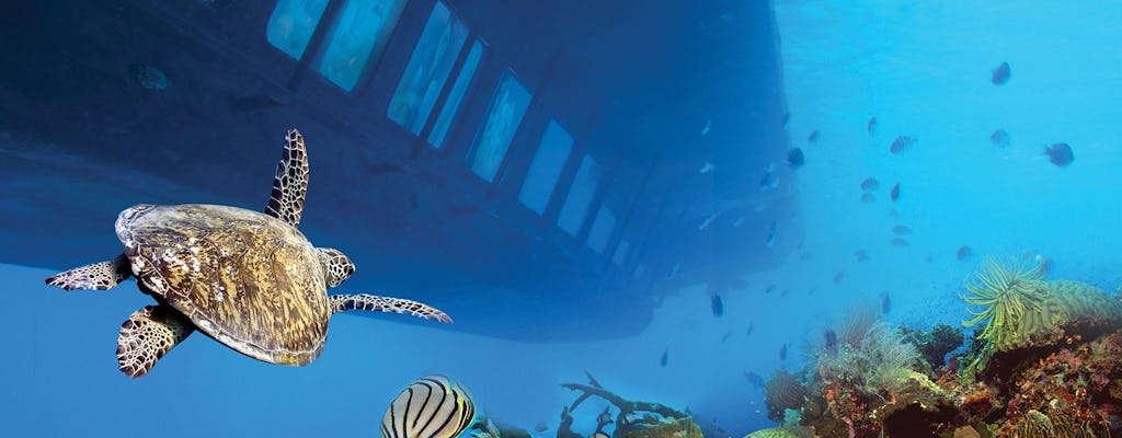 Hurghada mermaid glass-bottom boat tour