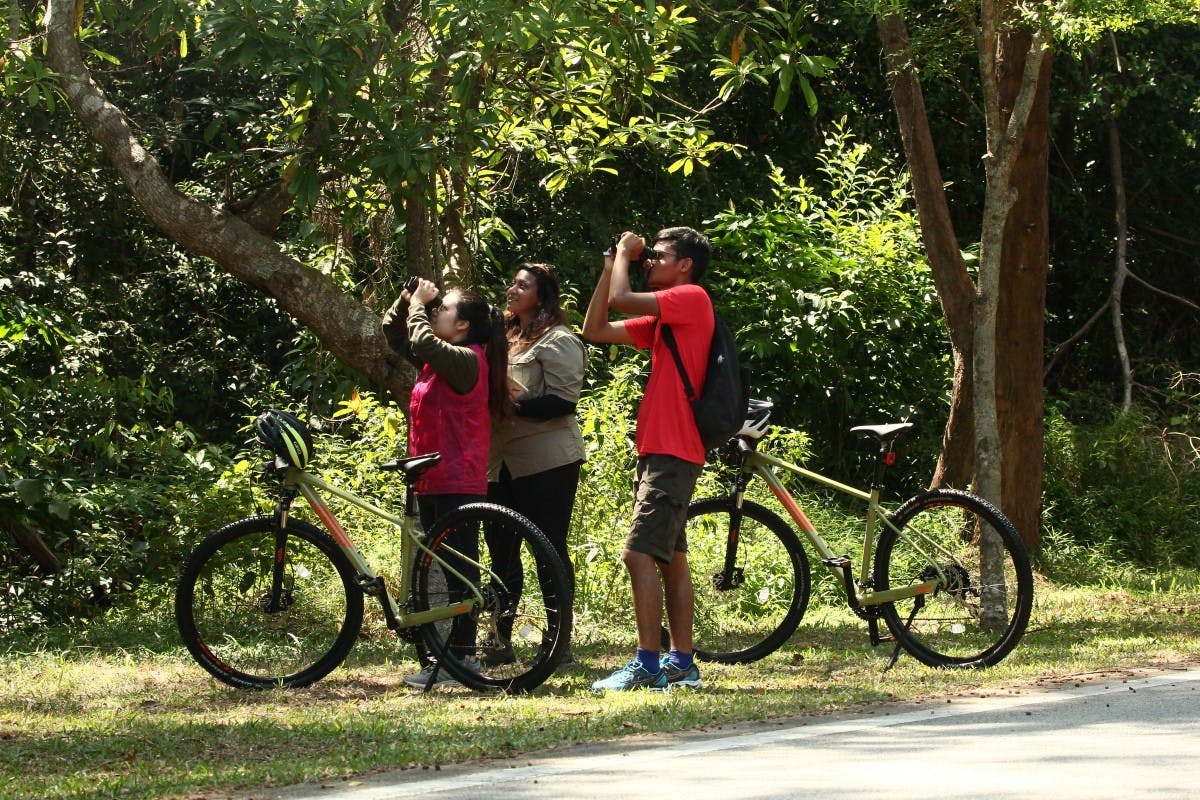 Geführte Radtour auf dem Land in Langkawi